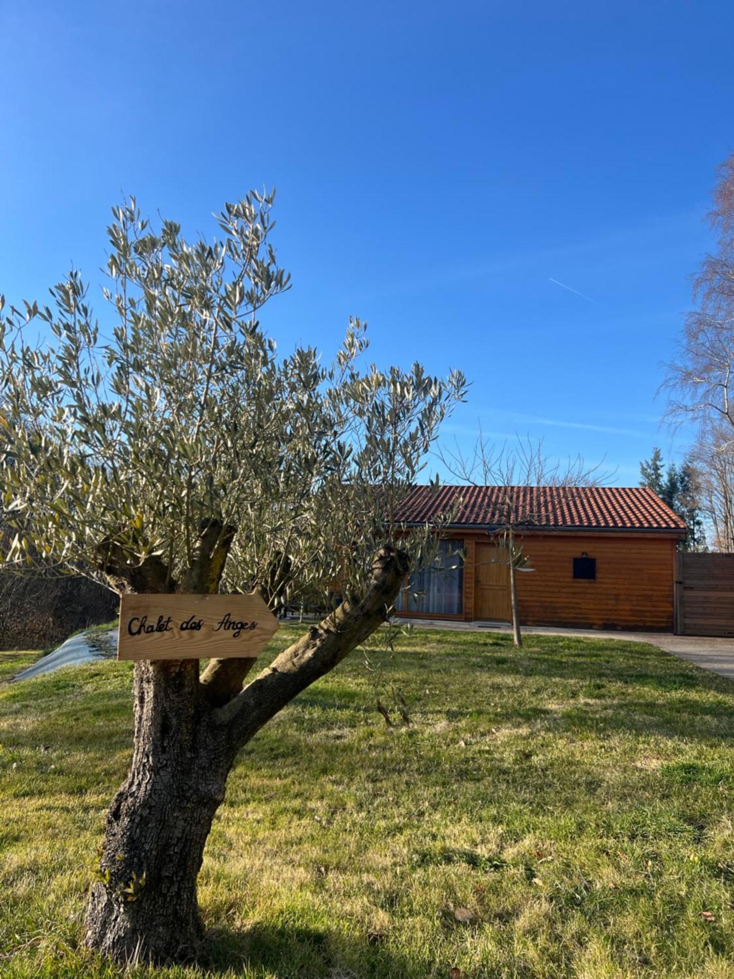 Chalet Des Anges Youx Esterno foto